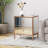Christopher Knight Home Mirrored 2-Drawer Cabinet With Steel Frame