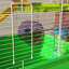 Hamster Cage with Exercise-102423138