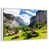 Floating Frame White