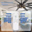 Ventilateur de plafond en cage de 60 po avec lumière et télécommande, ventilateur de plafond à moteur à courant continu pour l'intérieur et l'extérieur, ventilateur réversible silencieux avec 4 prises E12, idéal pour le patio de la chambre à coucher