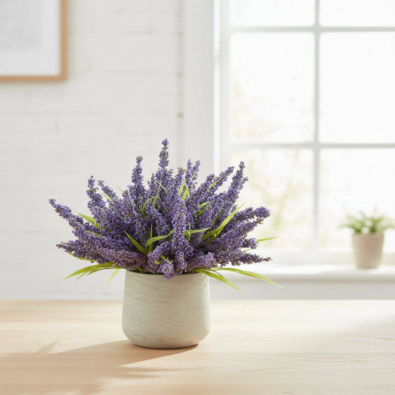 Ferdinand Heather en pot, Lavande