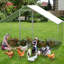 Chicken Run