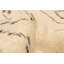 Tapis crème Pak Finest Marrakesh 7 pi 1 po x 10 pi 7 po