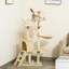 Tour pour chat PawHut