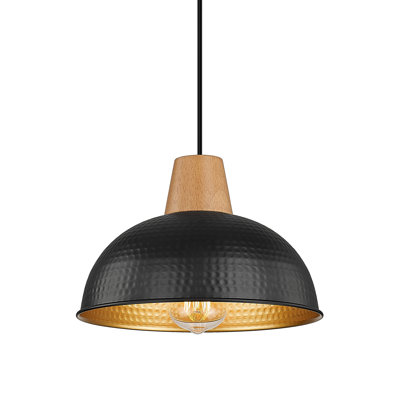 Barbary 1 - Light Dome Pendant