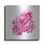 Rosecliff Heights «Red Coral» par JJ Brando, art mural en métal-1065388271