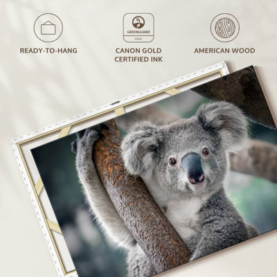 Brampt Happy Koala