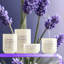  Bougie en pot 3 oz Serene Plus de 96 heures de brûlure durable | Mélange de cire de qualité supérieure, parfum d'ambiance et cadeau pour les journées spéciales