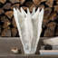 Amaryllis Vase