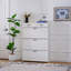Shoe Cabinet, Storage Shoe Two Drawer, Drawers, Three-Fold Doors, Large-677960537