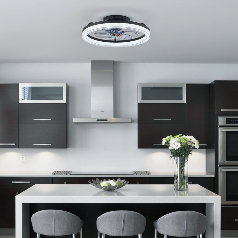 Demaury 20'' Flush Mount Dimmable Ceiling Fan with LED Lights, Black