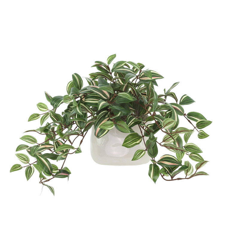 Tradescantia Zebrina Arranged In Ceramic Vase, Green, 12"H x 21"W x 14"D
