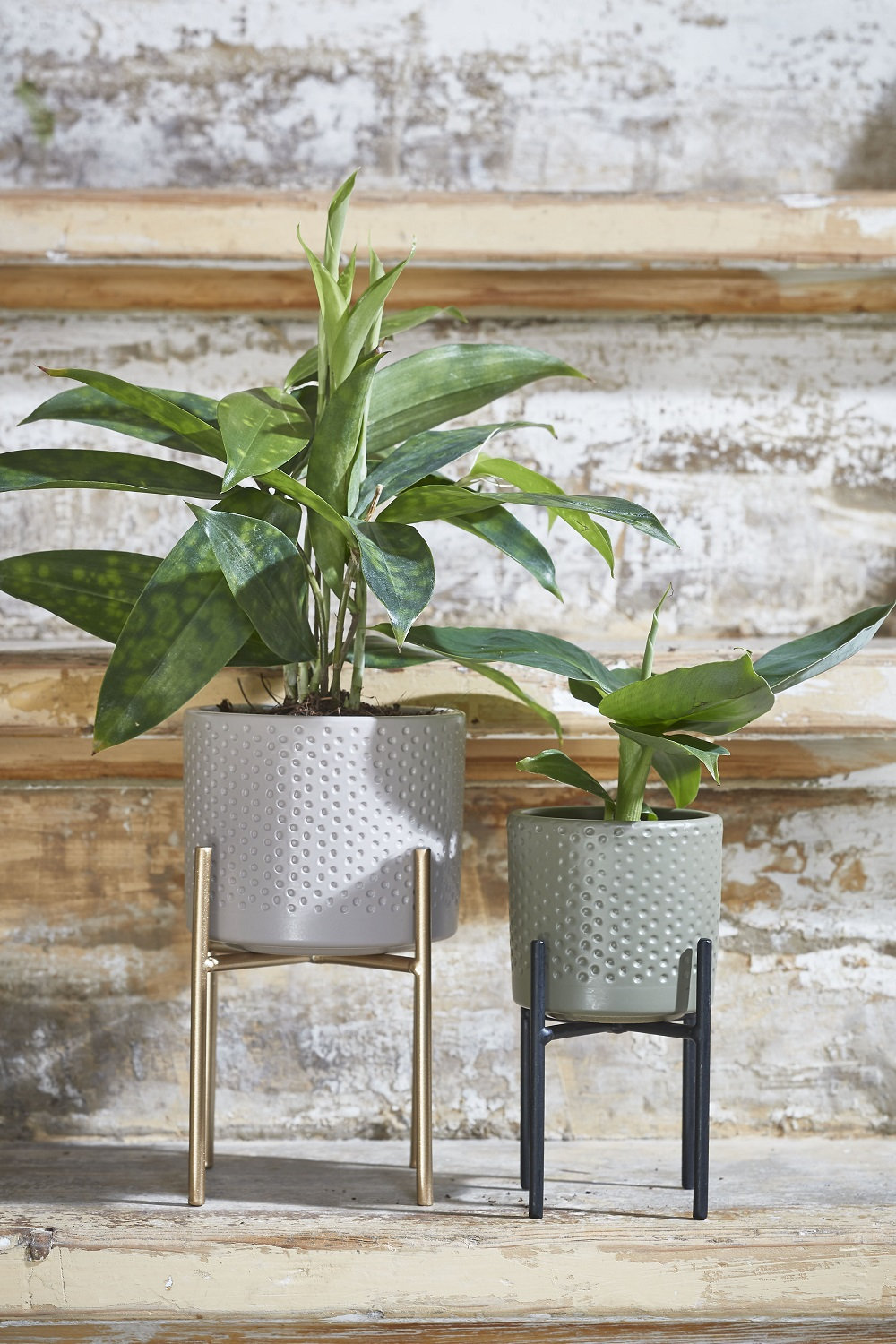 Edmon Plant Stand