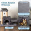 Tour pour petit arbre à chat 24,5 po - Tour pour chat avec perchoirs pour la sieste, maisonnette pour chaton, 2 poteaux à griffes et jouet suspendu - Arbre à chat à plusieurs niveaux et mobilier pour activités d'escalade par PETMAKER (gris)