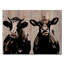 «Cow Duo» par Olivia Rose - impression sur toile tendue-32927681