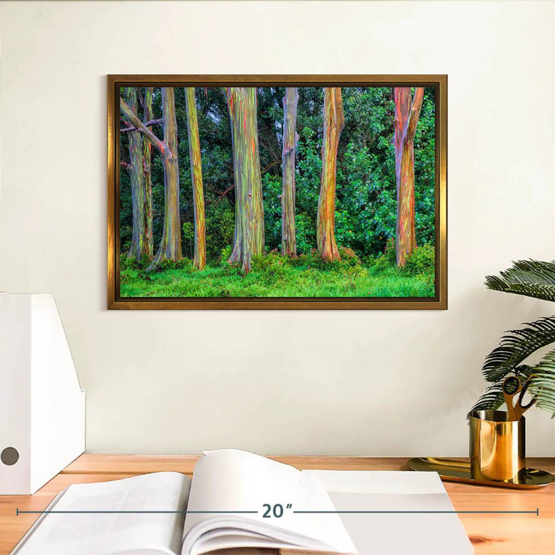 Eucalyptus arc-en-ciel, Cadre flottant doré, 13 po x 9 po