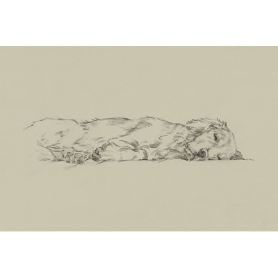 Croquis doré IV