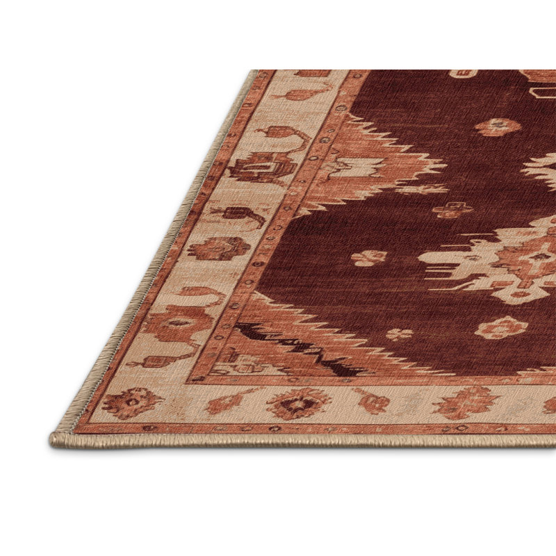 Machine Washable Overdyed Brown Area Rug, Rectangle 5' x 7'