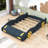 Jaqui Full Cars Bed by Trinx-1060015635