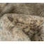 Quarry Abstract Area Rug in Beige/Brown-1412660206