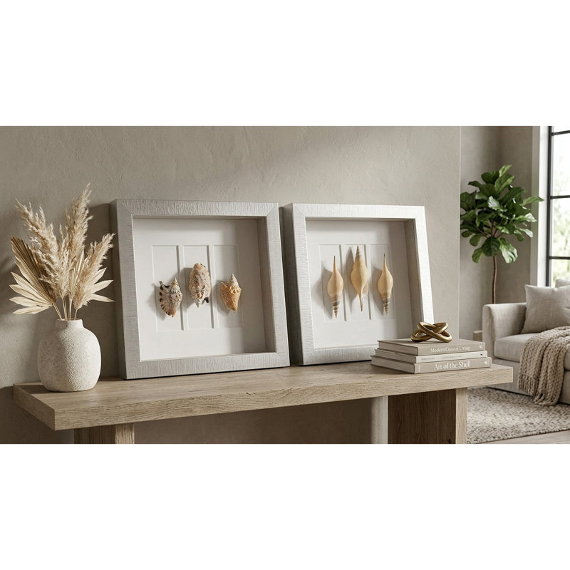 2 Piece Sea Shell Shadow Box Wall Décor Set