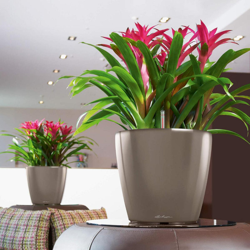 Classico Pot Planter, Taupe, 40cm H x 43cm W x 43cm D