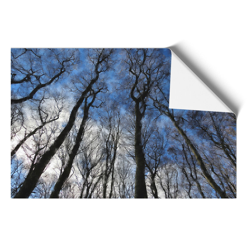 Beautiful Forest - No Frame Painting, 30cm H x 42cm W x 0.1cm D