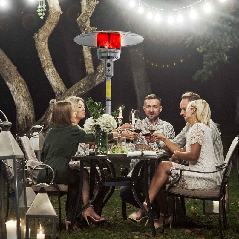 Antjedine Stainless Steel Propane Standing Patio Heater, Silver