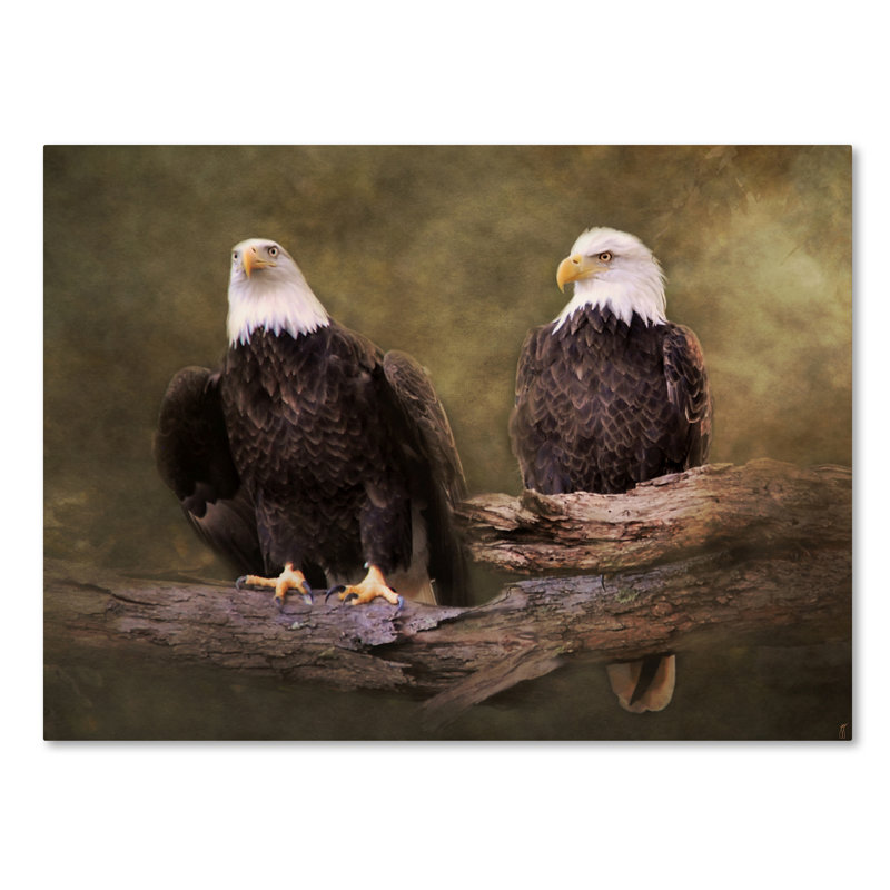 «Mates Bald Eagle pair», reproduction de photo sur toile tendue Vidur, H 14 po x l 19 po