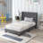 Zadin Upholstered Platform Bed-1221247567