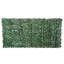 Privacy Fencing Hedge