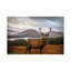 Scottish Stag 1 Piece Wrapped Canvas Wall Art-1974012586
