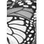 Gros plan sur des ailes de papillon-120127762