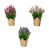 Assortment 1