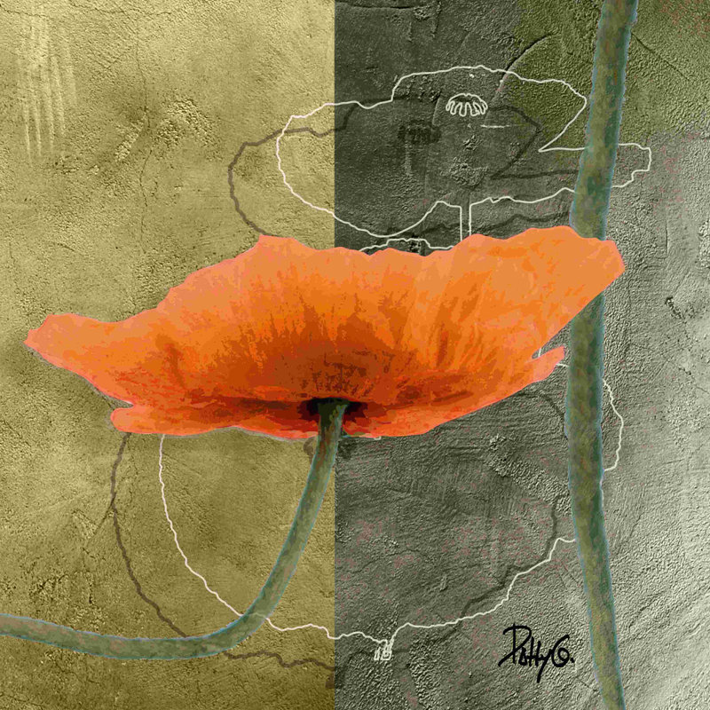 Coquelicots orange VI, H 12 po x l 12 po