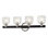 4 - Light Vanity Light
