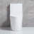 Small Compact One Piece Toilet Dual Flush