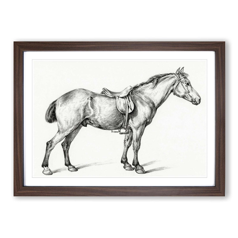 Horse with a Saddle by Jean Bernard - Picture Frame Drawing Print on MDF, 48cm H x 65cm W x 2cm D, Walnut Framed