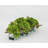 Hydrangea Arrangement in Planter-825524696-825524697