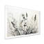 Herbes grises et blanches Minimal Harmony II-1314328292-1314328293