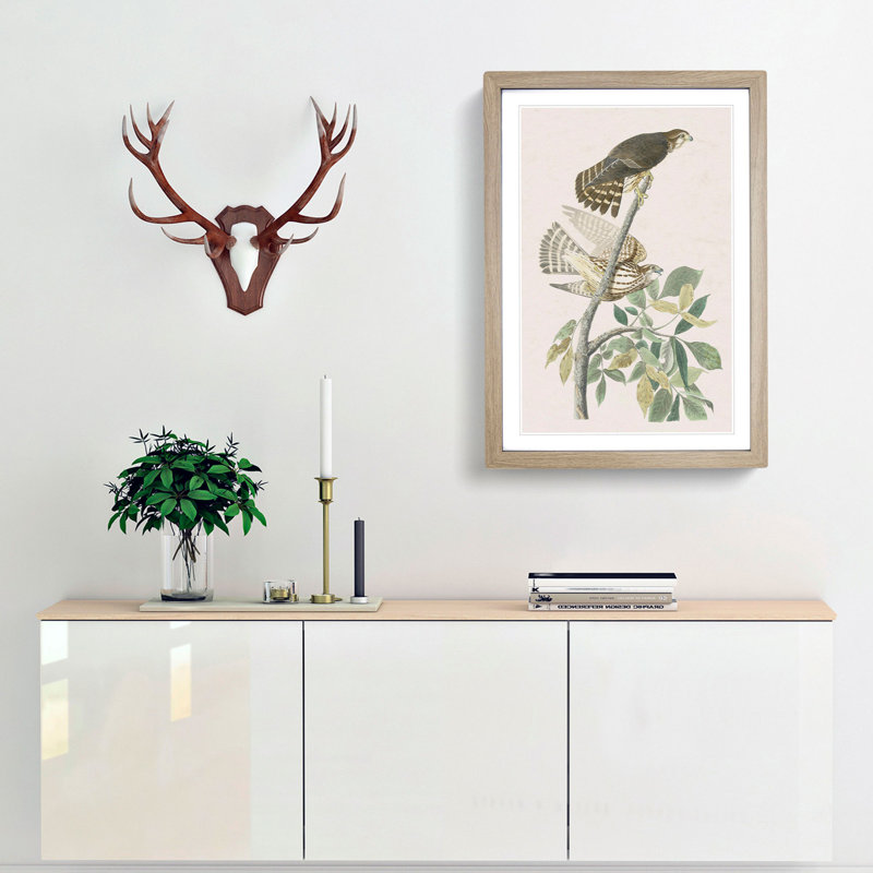 Pigeon Hawks by John James Audubon - Picture Frame Painting Print, 65cm H x 48cm W x 2cm D, Oak Framed