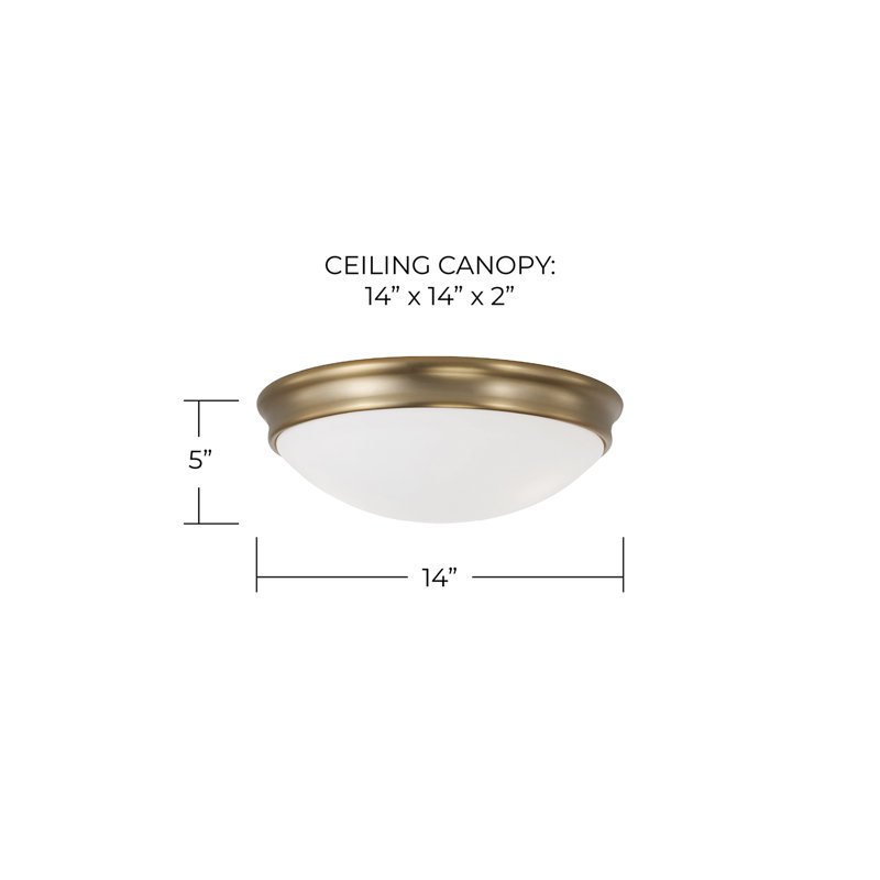 14" W x 5" H 3-Light Flush Mount in Aged Brass with Soft White Glass Diffuser, 3