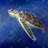 Beautiful Sea Turtle - Outdoor Throw Pillow for – Outdoor Throw Pillow with Insert, Weather-Resistant-120160592-120160593