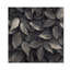 Slate Grey Leaves Beauty II - Décoration murale en bois de feuilles - sur bois de pin naturel-283140483