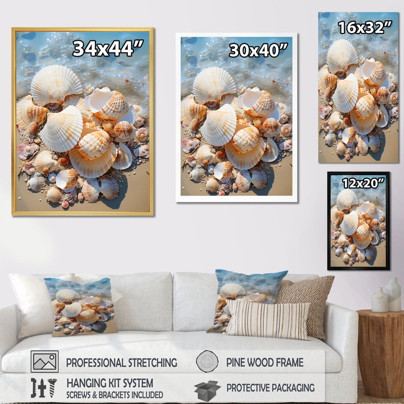 «Beach Photo Seashell Symphony II», reproduction sur toile d'animaux côtiers, Cadre photo noir, H 40 po x l 30 po x P 1,5 po