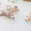 Tapis pour bébé Little Landings-123349738