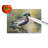 Wood Duck Glass Cutting Board