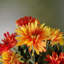 33cm Faux Flowering Plant in Pot Liner-75959754