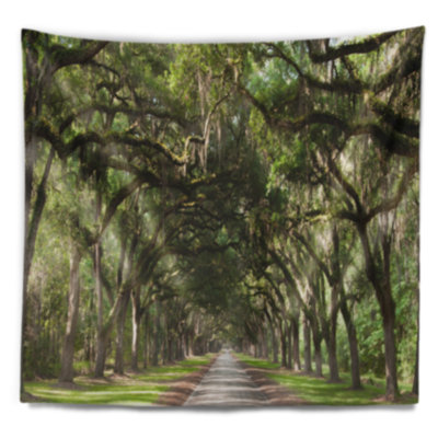 Photographie live oak tunnel tapisserie