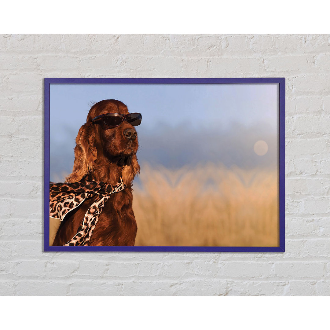 Diomede Glamorous Irish Setter Dog - Einzelner Bilderrahmen Kunstdrucke